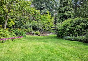 Optimiser l'expérience du jardin à Saint-Paul-de-Serre